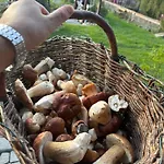 Dobra Appartement *